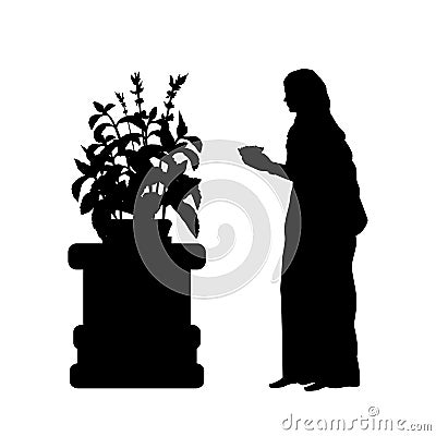 Silhouette Indian woman worship the sacred tulasi tree. Indian culture and religion. Vector Illustration