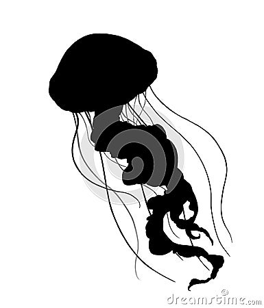 Silhouette Jellyfish deep sea poisonous illustration realism isolate. Cartoon Illustration