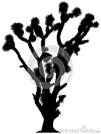 Silhouette of Joshua tree Stock Photo