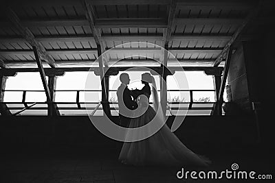 Silhouette just married couple of beautiful groom in a gray business suit and a bride in a luxurious white dress with a Stock Photo