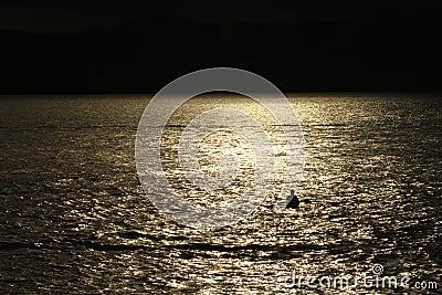 Silhouette of a kayaker at sunset Stock Photo