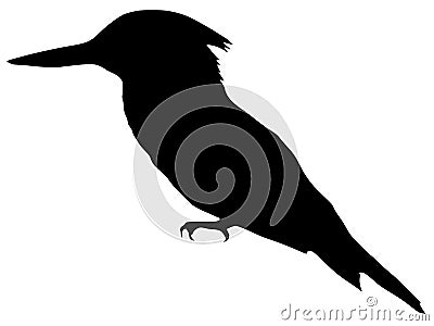 Silhouette of kingfisher Vector Illustration