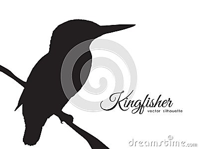 Silhouette of Kingfisher sitting on a dry branch. Vector Illustration