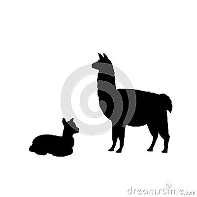 Silhouette of lama alpaca and young little lama alpaca Vector Illustration