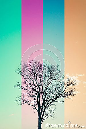 Silhouette Leafless Tree in 4 color line style Stock Photo