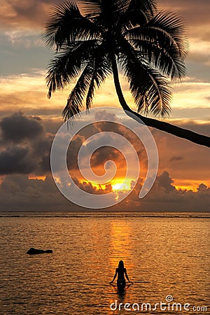 Silhouette of leaning palm tree and a woman at sunrise on Taveuni Island, Fiji Stock Photo