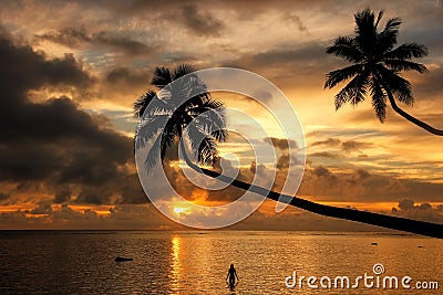 Silhouette of leaning palm trees and a woman at sunrise on Taveuni Island, Fiji Stock Photo