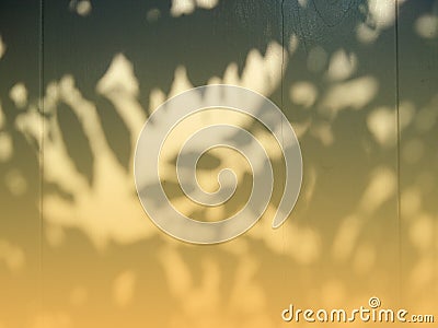 Orange sunbeam and silhouette of leaves Stock Photo