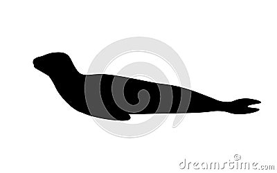 Silhouette leopard seal Vector Illustration