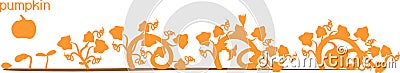 Silhouette of life cycle of pumpkin plant. Growth stages from seeding to flowering and fruit-bearing pumpkin plant Vector Illustration