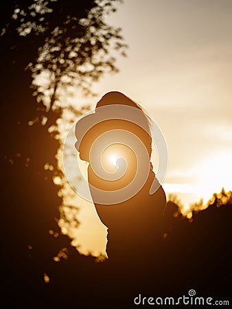 Silhouette of lovers embracing on the background of the sunset Stock Photo