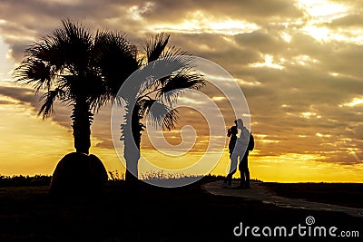 Silhouette of loving couple, palm trees and antique amphora. Stock Photo