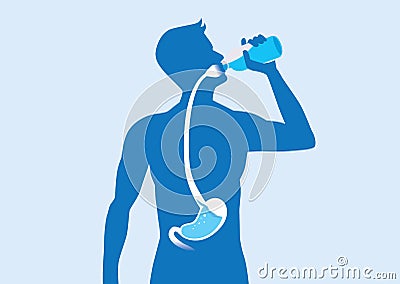 Silhouette of man drinking water from bottle flow into stomach. Vector Illustration