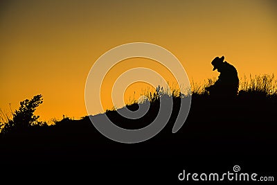 Silhouette man spread hand on top of a mountain enjoying sunset. Stock Photo