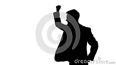 Silhouette of manager raising fists up, successful business plan, good bargain Stock Photo