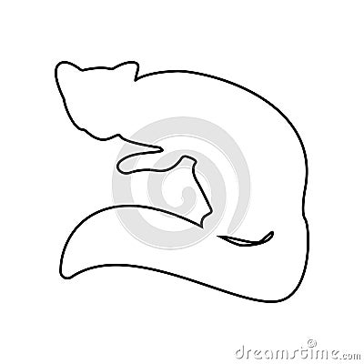 silhouette of marten icon. Element of zoo for mobile concept and web apps icon. Outline, thin line icon for website design and Stock Photo