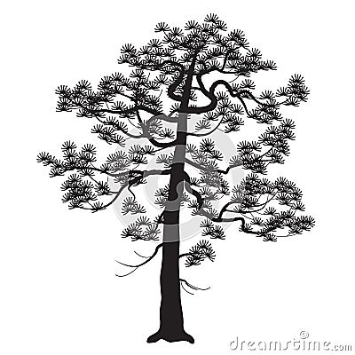 Silhouette of Old Japanese Pine Tree Vector Illustration