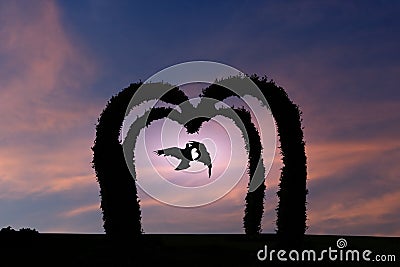 The silhouette of a pair of birds flying in the arch of a heart-shaped tree in the lit sky Stock Photo