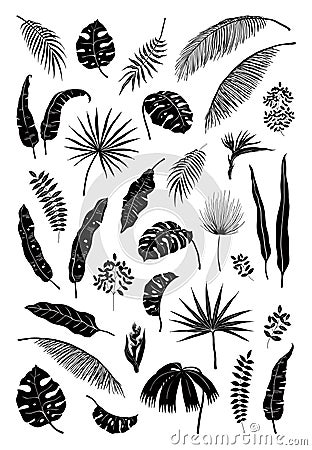 Silhouette palm leaves. Black jungle plants, summer foliage isolated elements exotic floral branches. Vector monstera Vector Illustration