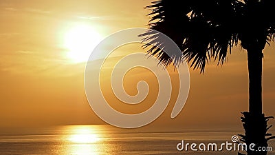 Silhouette palm tree with beautiful soft orange sky reflect the sea. Sunset in background. Abstract orange sky. Dramatic golden sk Stock Photo