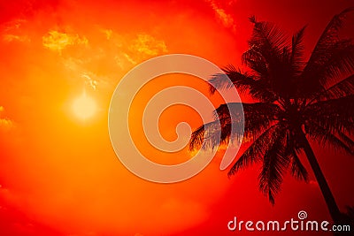 Silhouette palm tree with clear sunny sky with extreme hot summer beach. Stock Photo