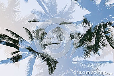 Silhouette palm tree with double exposure effect in vintage filter background Stock Photo