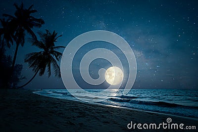 Silhouette palm tree in night skies and full moon - dreamlike wonder nature Stock Photo