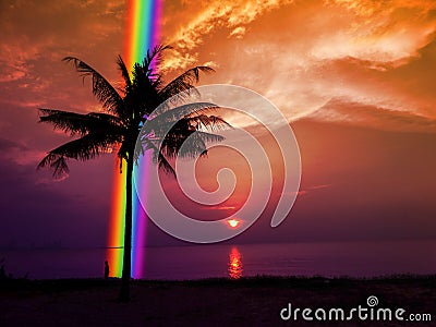 Silhouette palm tree rainbow in back sunset sky in the sea Stock Photo