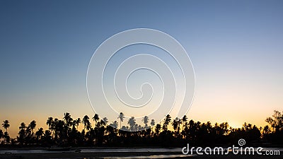 Silhouette of Palm Trees Against Clear Sunset Sky Stock Photo