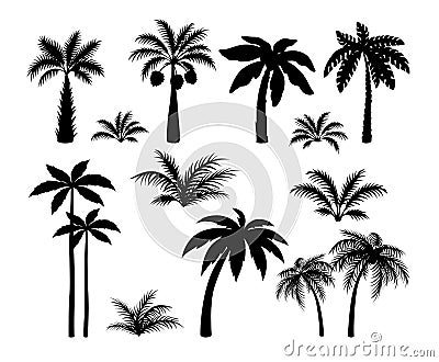 Silhouette palm trees. Set tropical black jungle plants. Black leaves and coconut jungle tree Vector Illustration