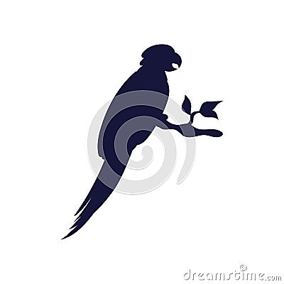 Silhouette of parrot of Amazon or Caribbean birds, vector illustration isolated. Vector Illustration