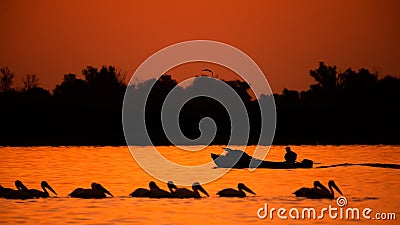 Silhouette of pelican an fisherman in the sunset. Danube Delta Romanian wild life bird watching Stock Photo