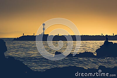 Silhouette of a pelican at Little Corona Beach Stock Photo