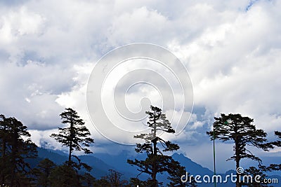 Silhouette of pine trees from Dochula Pass , Punakha , Bhutan Stock Photo