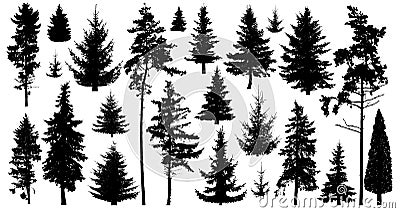 Silhouette of pine trees. Set of forest trees isolated on white background. Collection coniferous evergreen forest trees. Vector Illustration