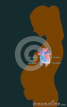 Silhouette of pregnant woman with heart structure on black background. Vector illustration Cartoon Illustration