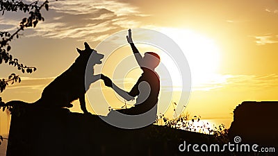 Silhouette profile of a training German Shepherd dog with a handler at sunset in a field, tamer man establishes a trusting Stock Photo