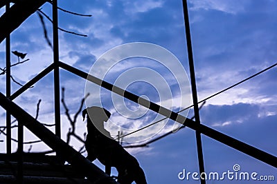 a silhouette of a puppy standing on a staircase in blue hours Stock Photo