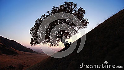 Silhouette reading against tree at sunset Stock Photo