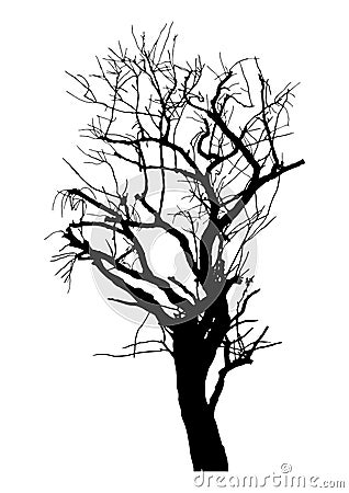 Silhouette of realistic dead tree for halloween decoration Vector Illustration