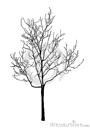 Silhouette of realistic dead tree for halloween decoration Vector Illustration