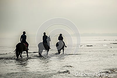 Silhouette of Riders at the beach riding horses Stock Photo