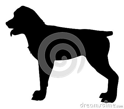 Silhouette of a rottweiler breed dog vector Vector Illustration