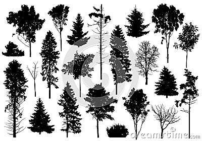 Silhouette of set different trees. Collection of coniferous evergreen forest trees, deciduous trees, bare trees. Vector Vector Illustration