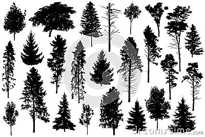 Silhouette of set different trees. Collection of coniferous evergreen forest trees, deciduous trees. Vector illustration Vector Illustration
