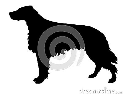 Silhouette of the setter Vector Illustration