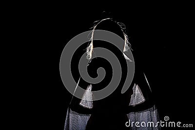 Silhouette Shadow of Woman in wave hair style with silver net Stock Photo