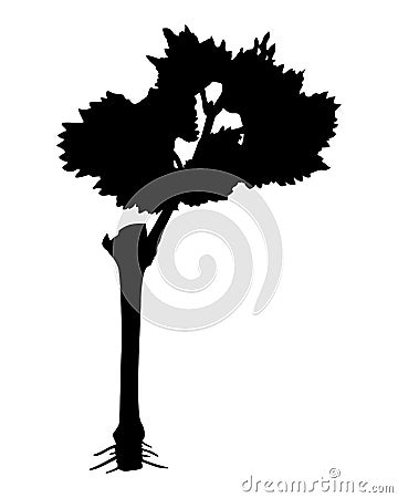 Silhouette of a sprouted grape cutting with roots Vector Illustration