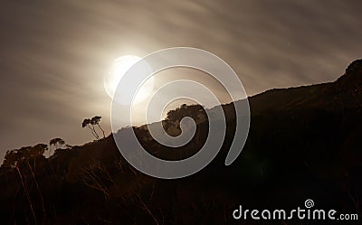 Silhouette of a strange landscape at night with a bright shining full moon in South Africa. Mysterious dark nature scene Stock Photo