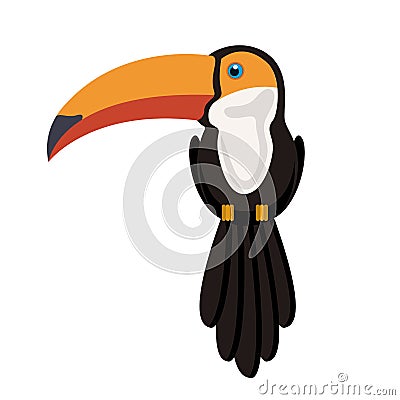 Silhouette of toucan with colorful beak and feathers Vector Illustration